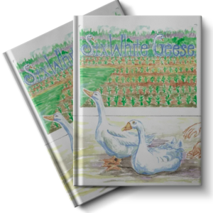 Six White Geese