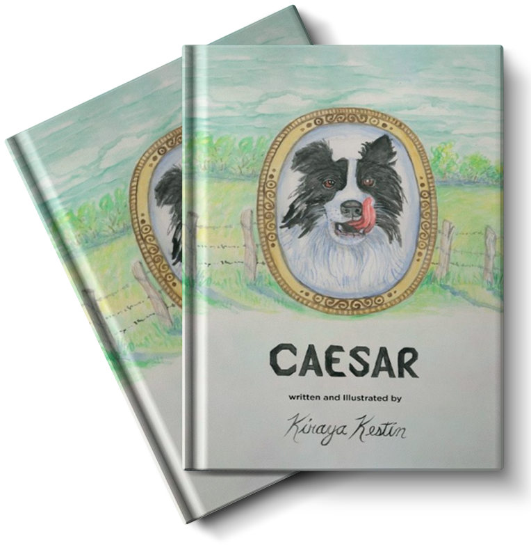 2-book